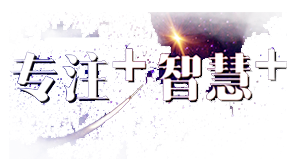 专注+智慧+